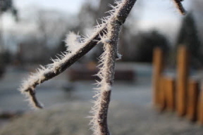 Winter frost spines
MR=576x384pixels 8x5.3inches 72ppi
HR=3456x2304p 48x32in 72ppi Bury Knowle Park, Headington, Oxford